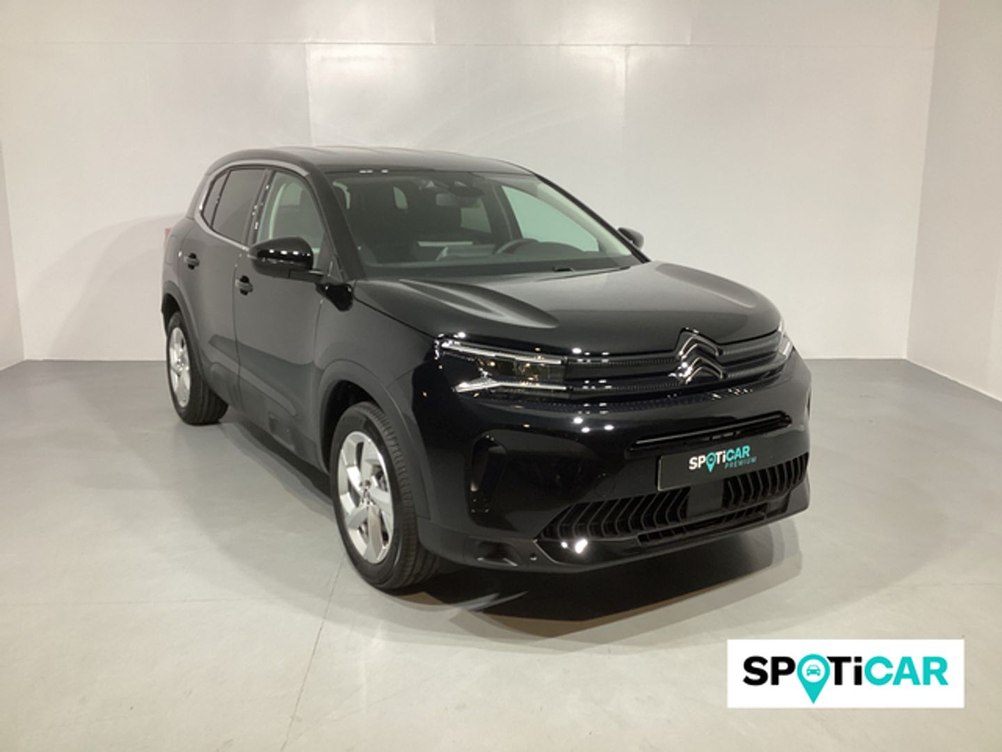 Citroen C5 Aircross Hybrid Plus e-DCS6 100 kW (136 CV)