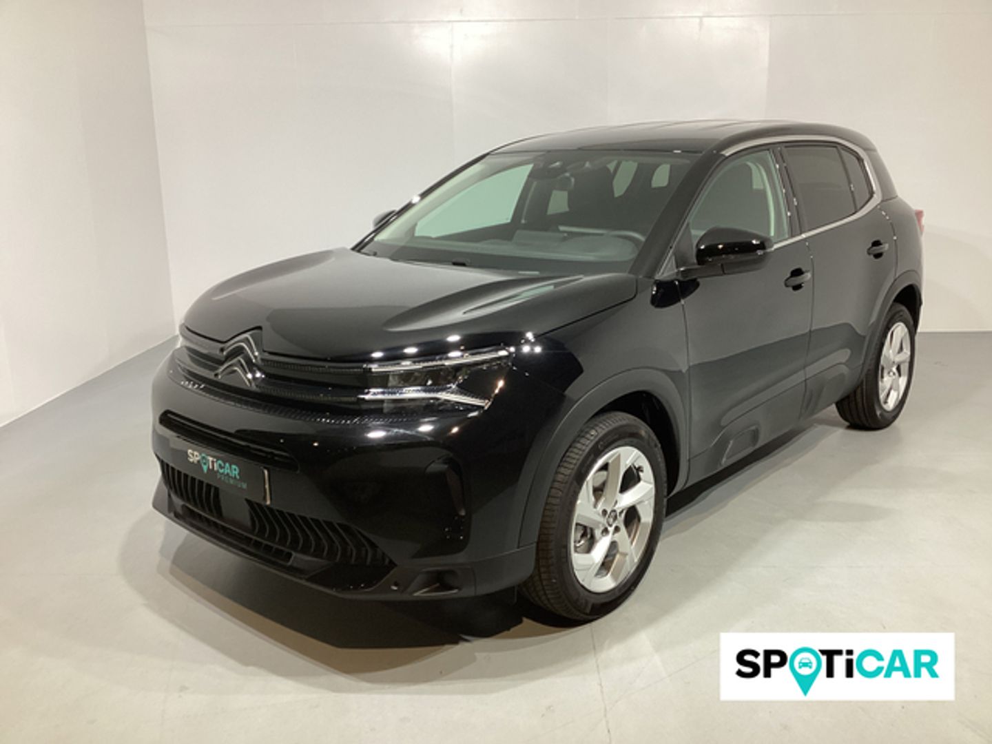 Citroen C5 Aircross Hybrid Plus e-DCS6 100 kW (136 CV)