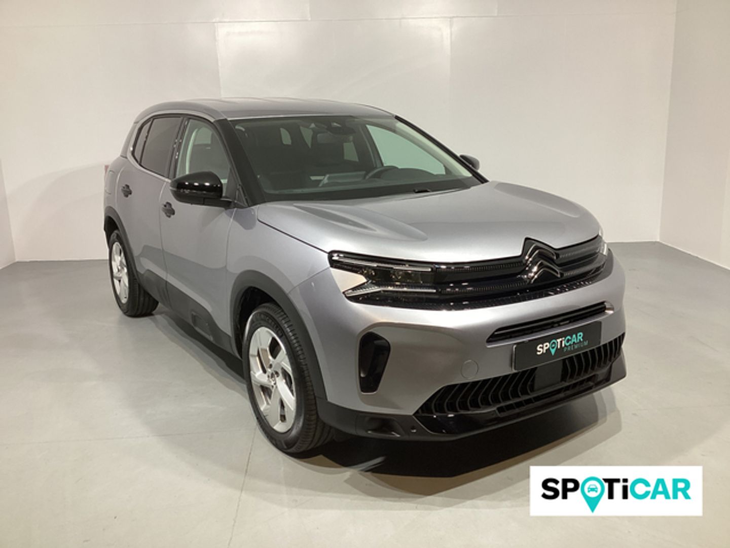 Citroen C5 Aircross Hybrid Plus e-DCS6 100 kW (136 CV)