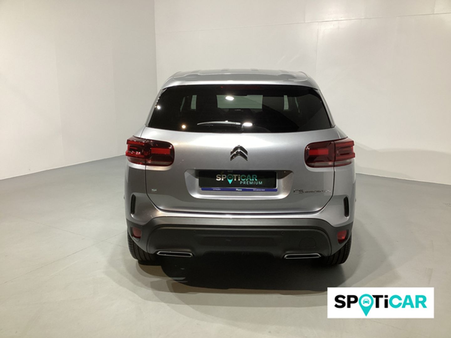 Citroen C5 Aircross Hybrid Plus e-DCS6 100 kW (136 CV)