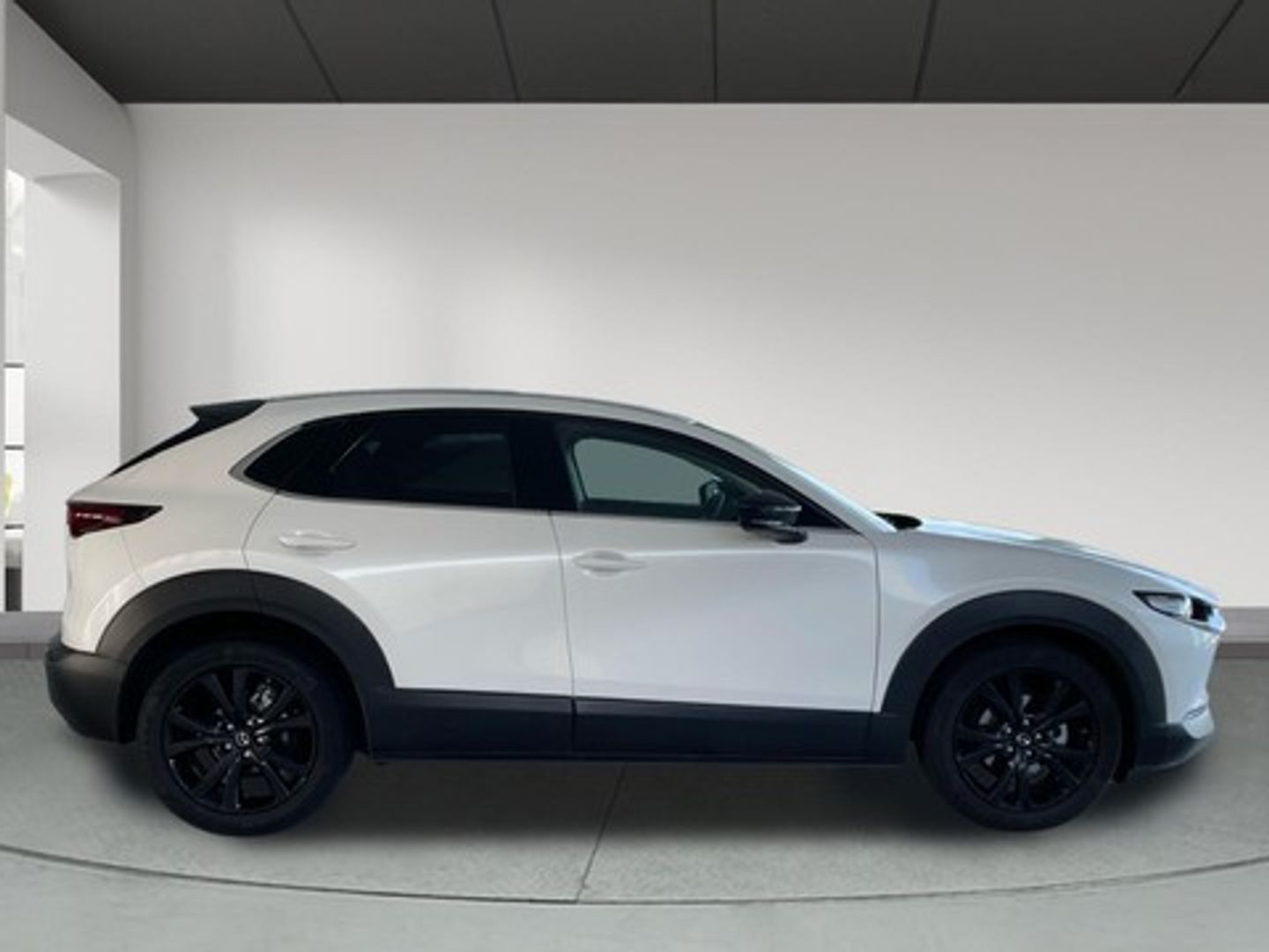 Mazda CX-30 2.0 e-SKYACTIV-G Homura 2WD 110 kW (150 CV)