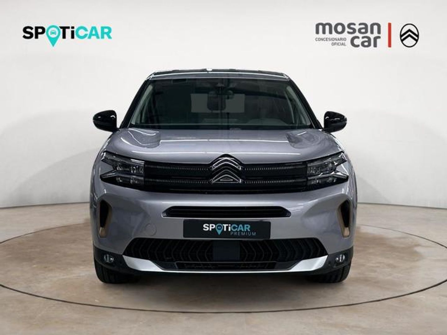 Citroen C5 Aircross BlueHdi 130 S&S C Series EAT8 96 kW (131 CV)