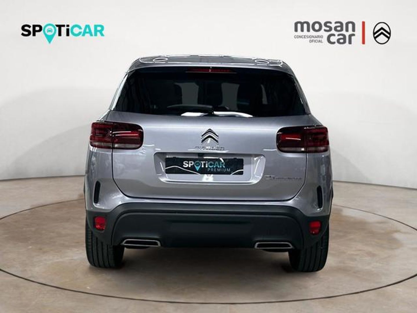 Citroen C5 Aircross BlueHdi 130 S&S C Series EAT8 96 kW (131 CV)