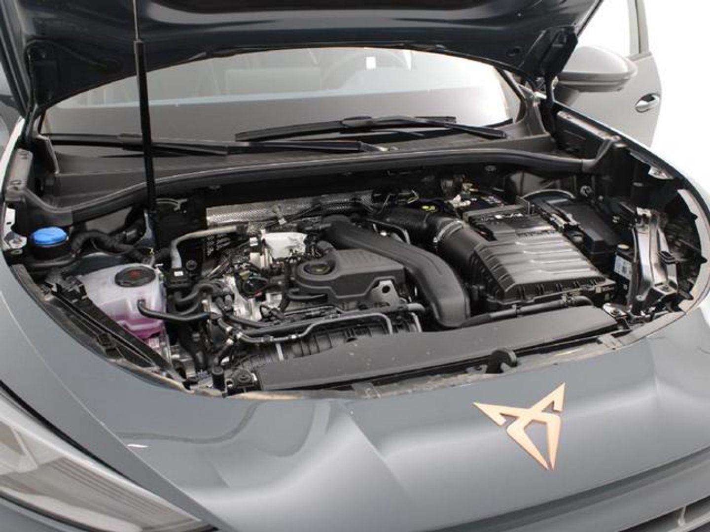 CUPRA Terramar 1.5 eTSI DSG 110 kW (150 CV)