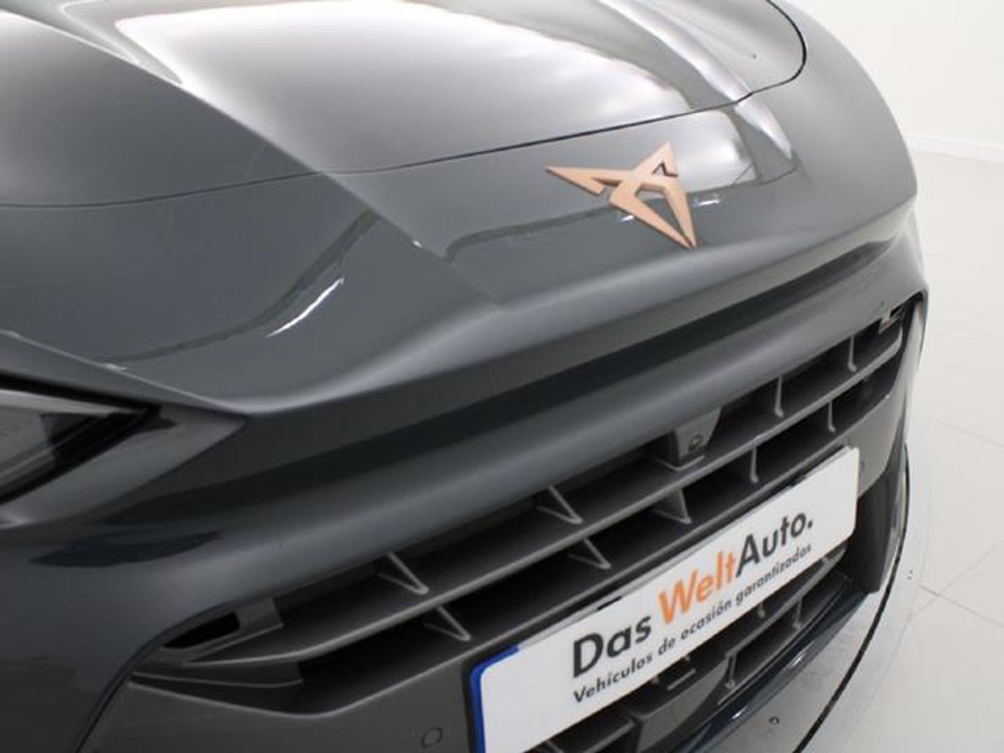 CUPRA Terramar 1.5 eTSI DSG 110 kW (150 CV)
