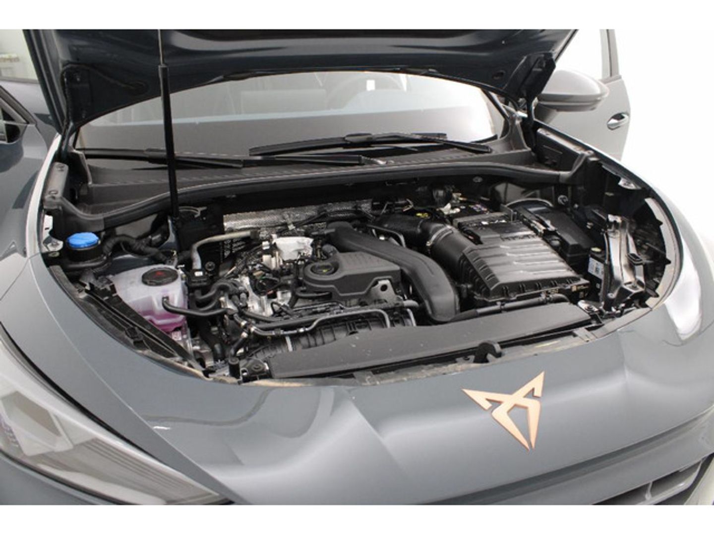 CUPRA Terramar 1.5 eTSI DSG 110 kW (150 CV)