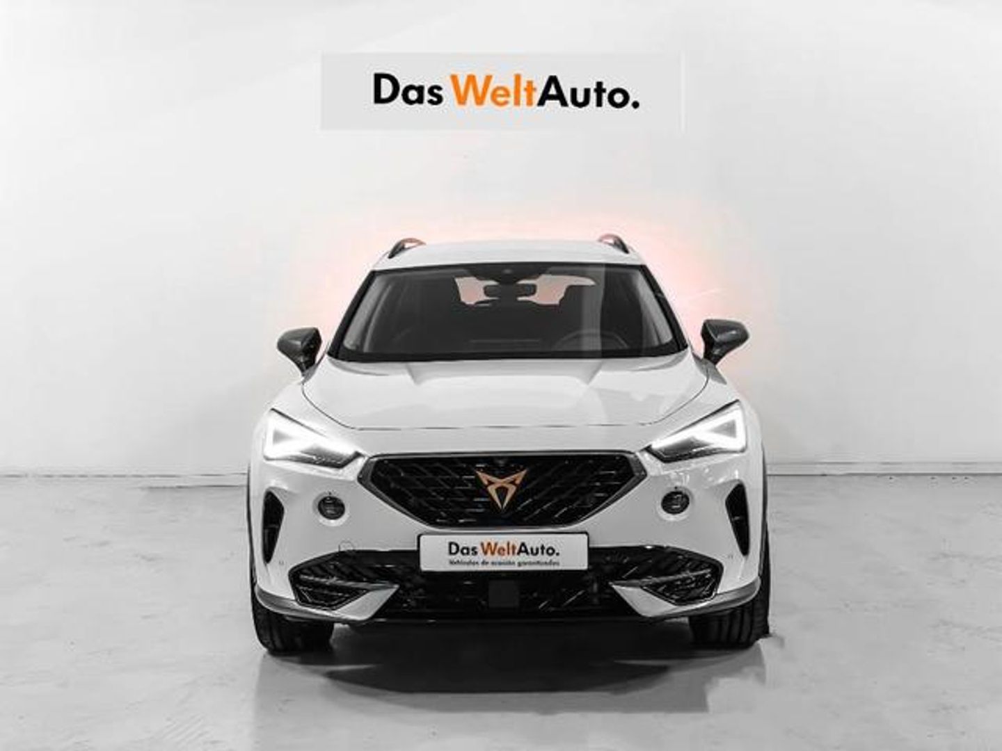 CUPRA Formentor 1.5 TSI DSG 110 kW (150 CV)