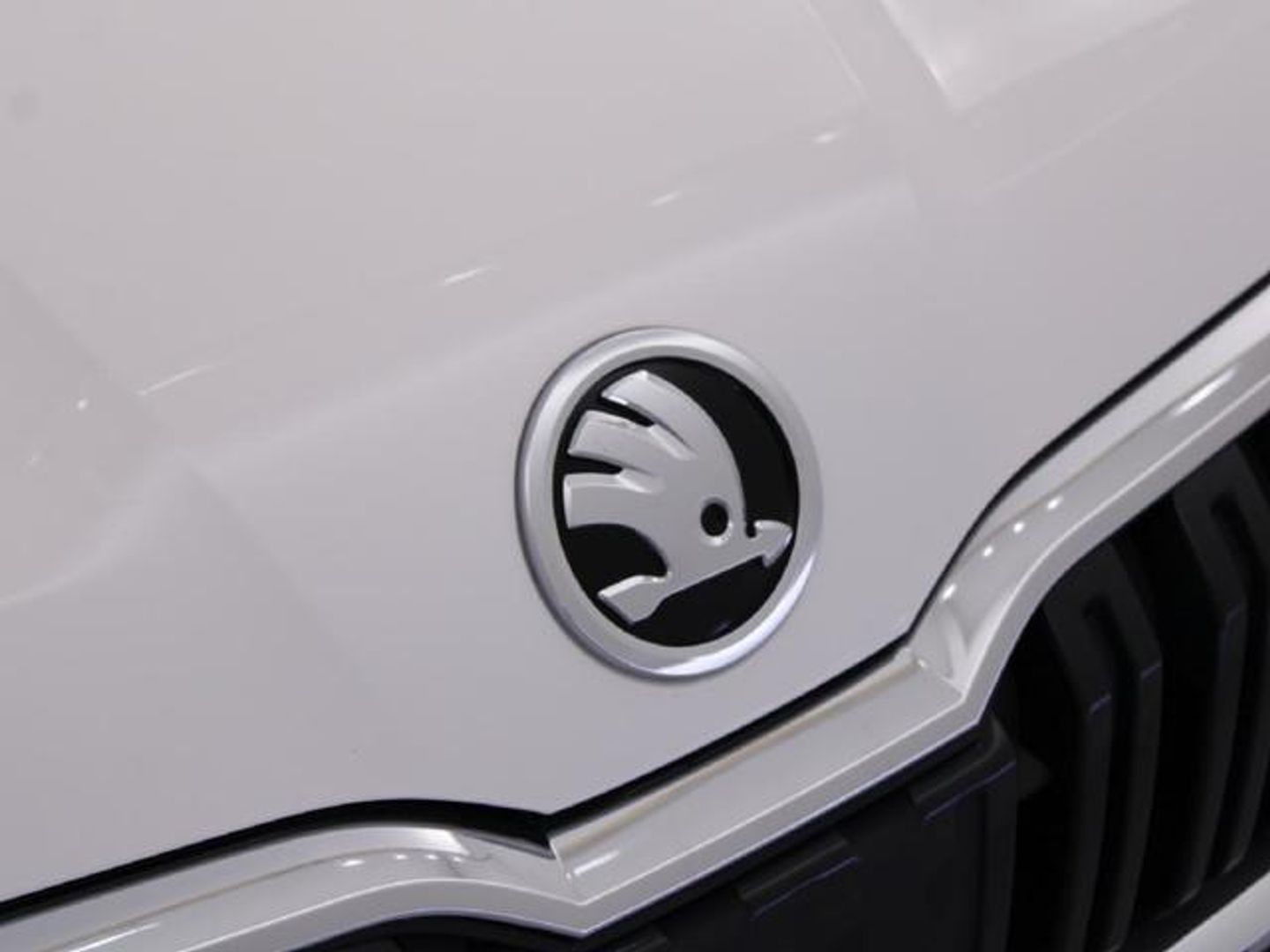 Skoda Kamiq 1.5 TSI Scout DSG 110 kW (150 CV)
