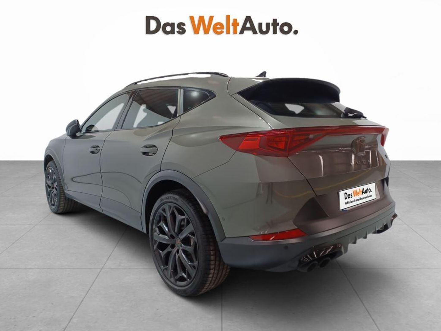 Cupra Formentor 2.0 TSI VZ