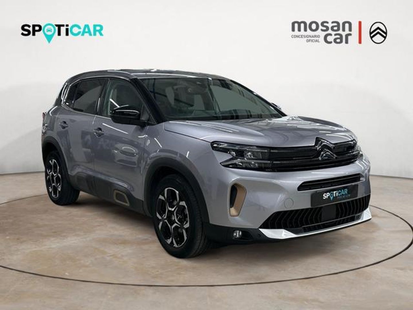 Citroen C5 Aircross BlueHdi 130 S&S C Series EAT8 96 kW (131 CV)