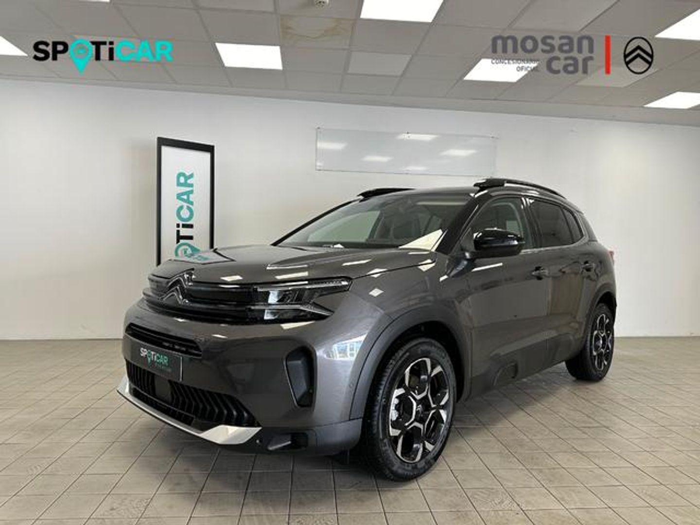 Citroen C5 Aircross Hybrid Plus e-DCS6 100 kW (136 CV)