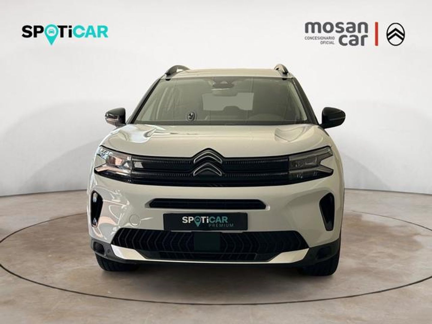 Citroen C5 Aircross Hybrid Plus e-DCS6 100 kW (136 CV)