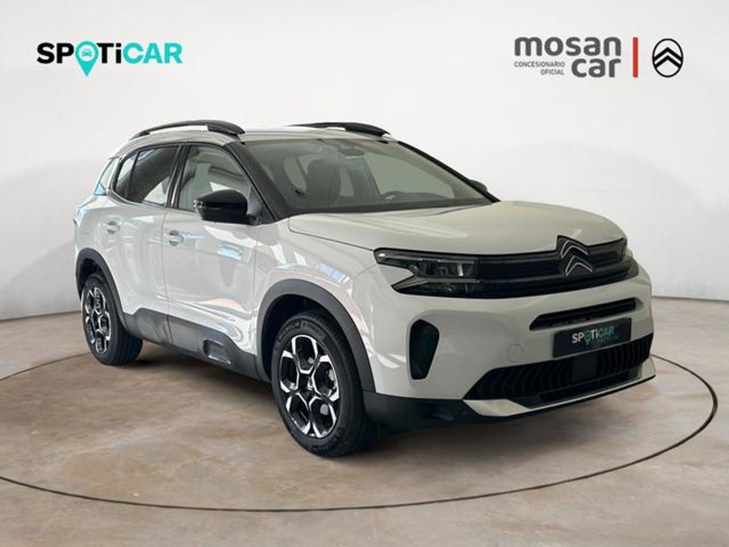 Citroen C5 Aircross Hybrid Plus e-DCS6 100 kW (136 CV)
