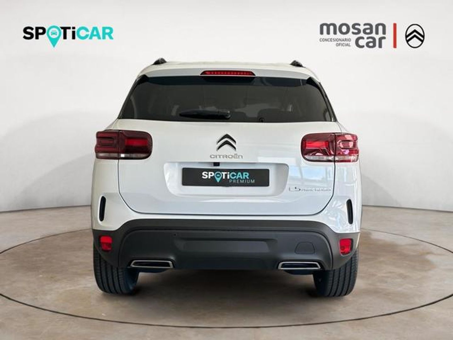 Citroen C5 Aircross Hybrid Plus e-DCS6 100 kW (136 CV)