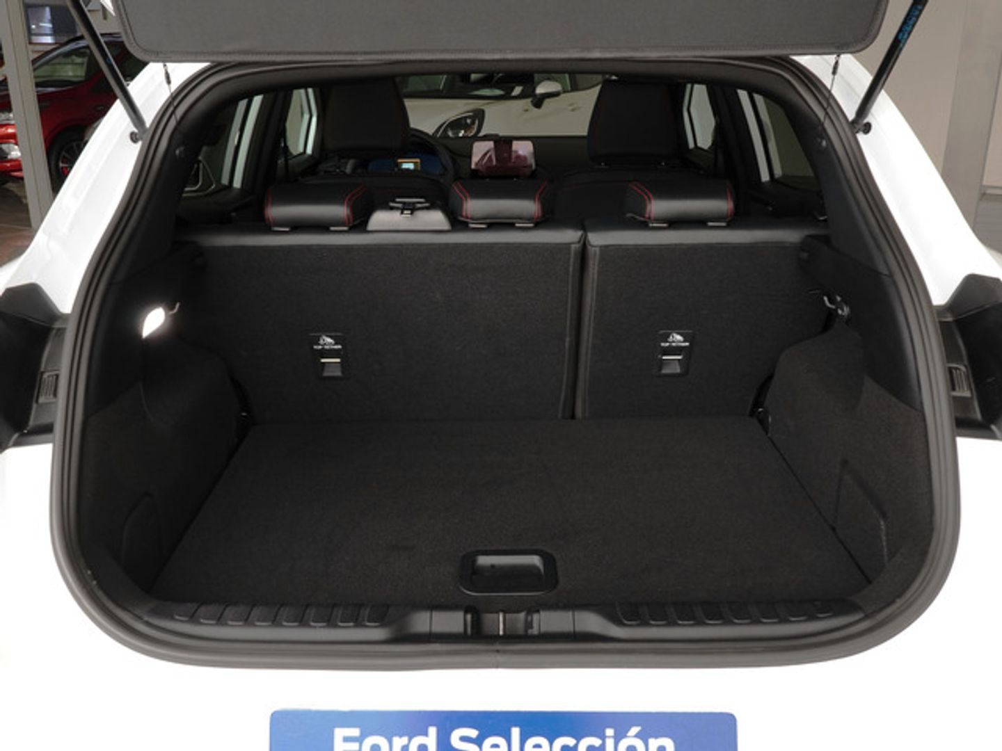 Ford Puma 1.0 EcoBoost MHEV ST-Line X 92 kW (125 CV)