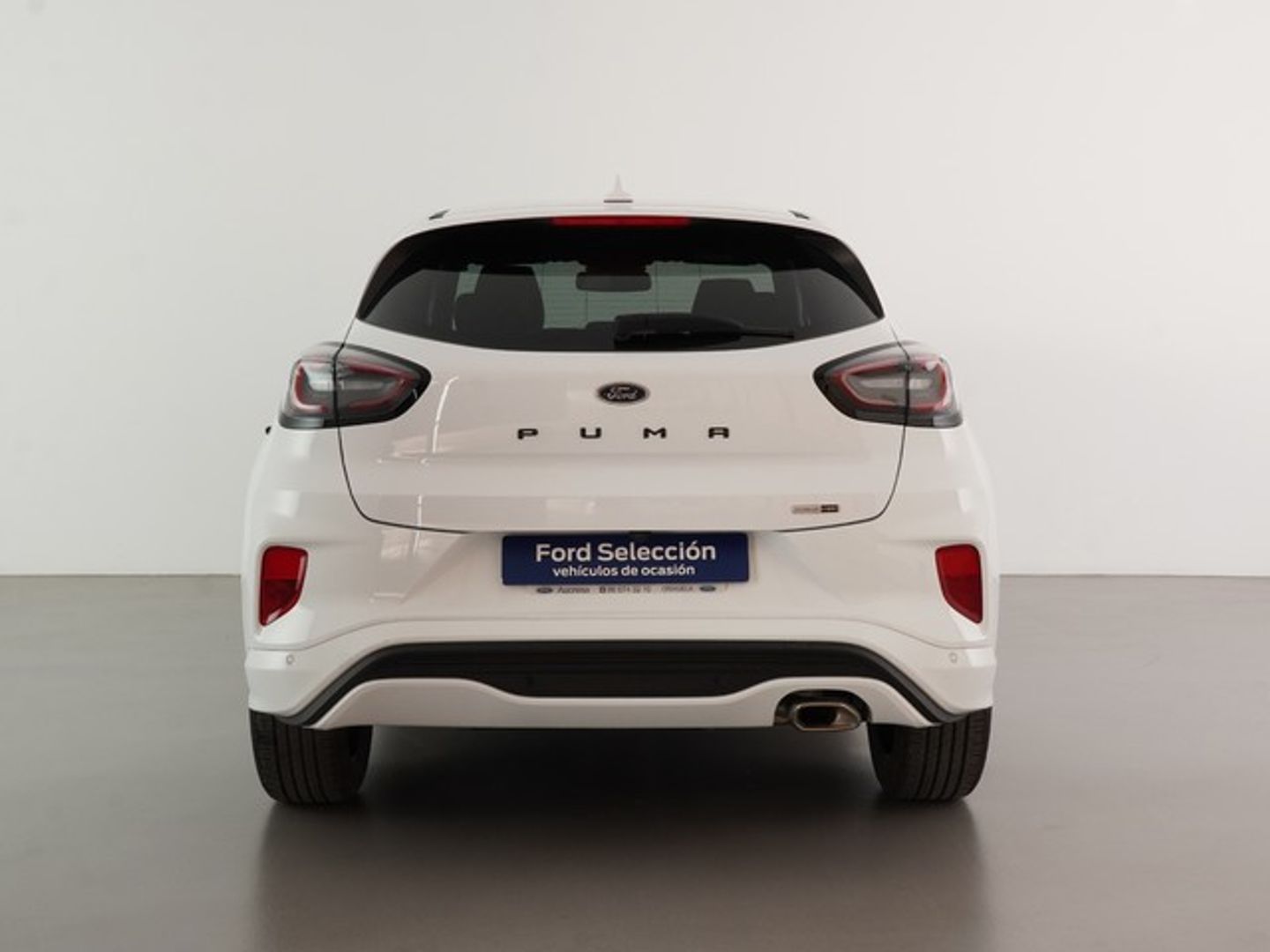 Ford Puma 1.0 EcoBoost MHEV ST-Line X 92 kW (125 CV)