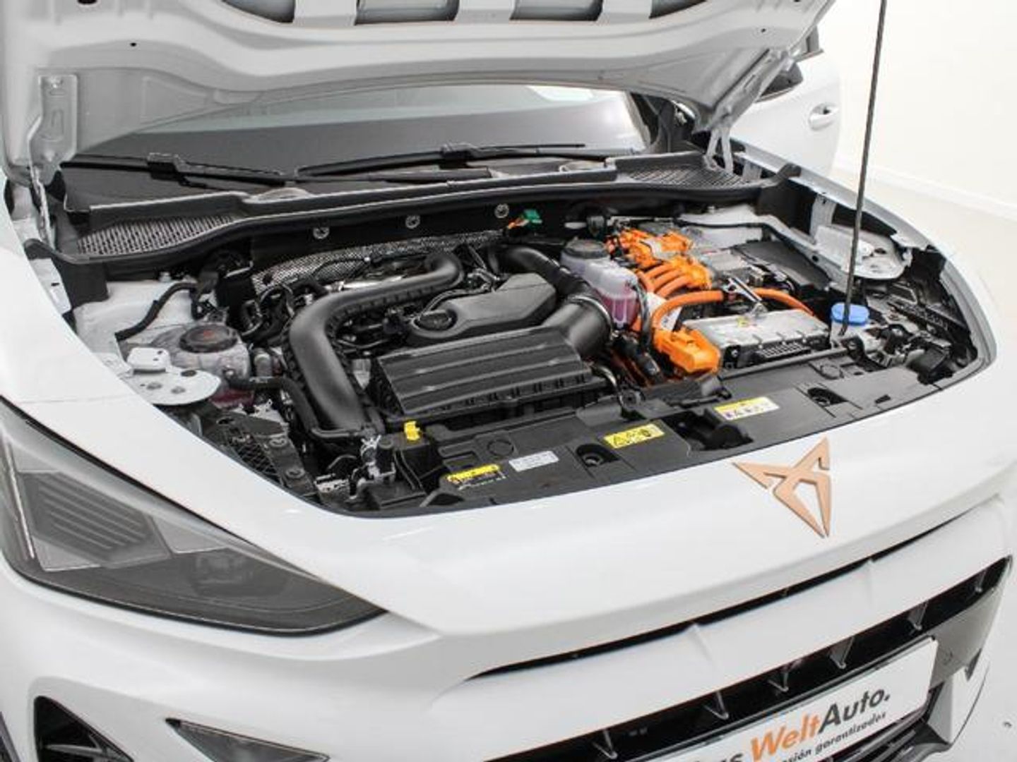 Cupra Formentor 1.5 TSI e-Hybrid -
