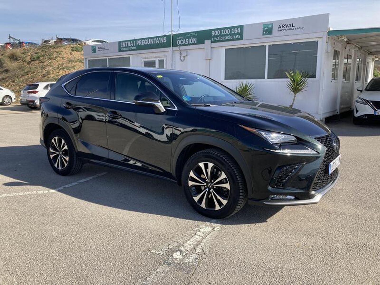 Lexus NX NX 300h