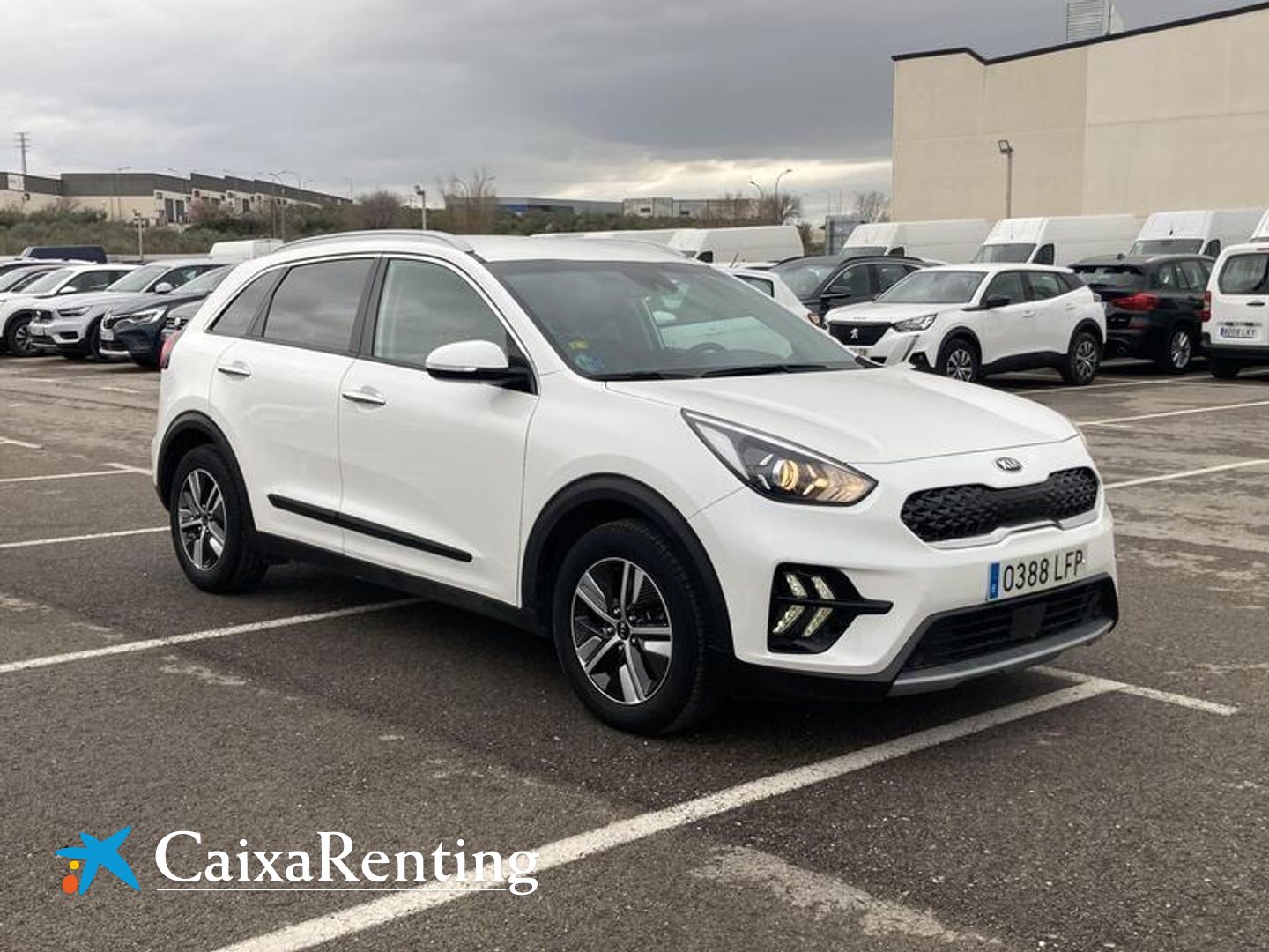 Kia Niro e-Niro Drive