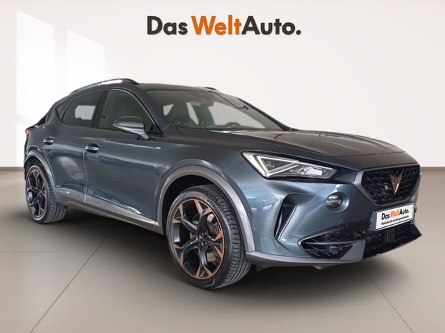 CUPRA Formentor 2.0 TSI VZ 4Drive DSG 228 kW (310 CV) Gris All Terrain / Pick-up