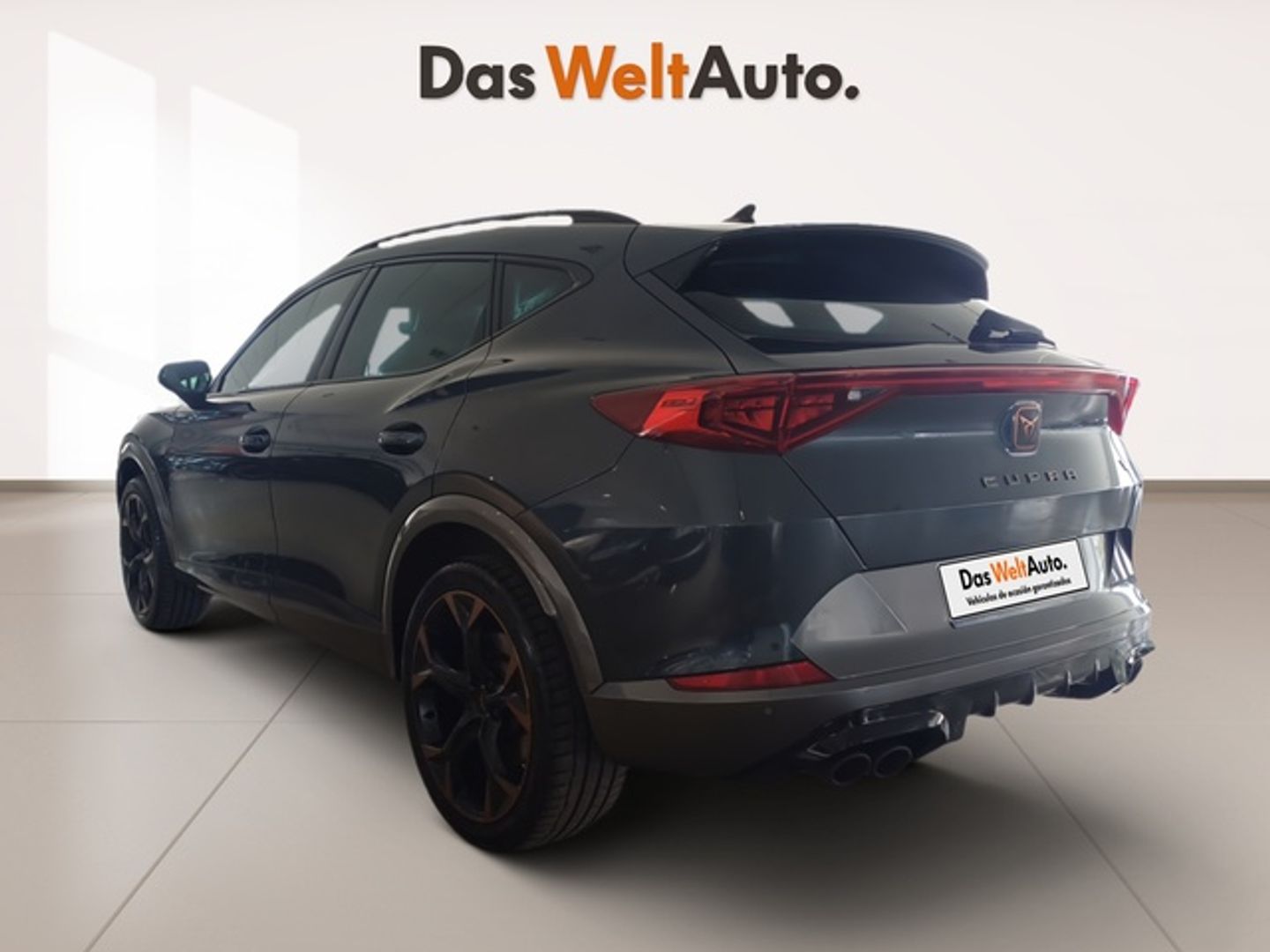 Cupra Formentor 2.0 TSI VZ