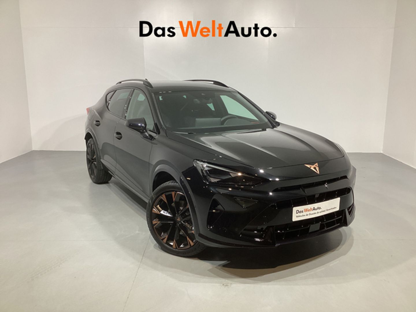 Cupra Formentor 2.0 TDI - Negro SUV