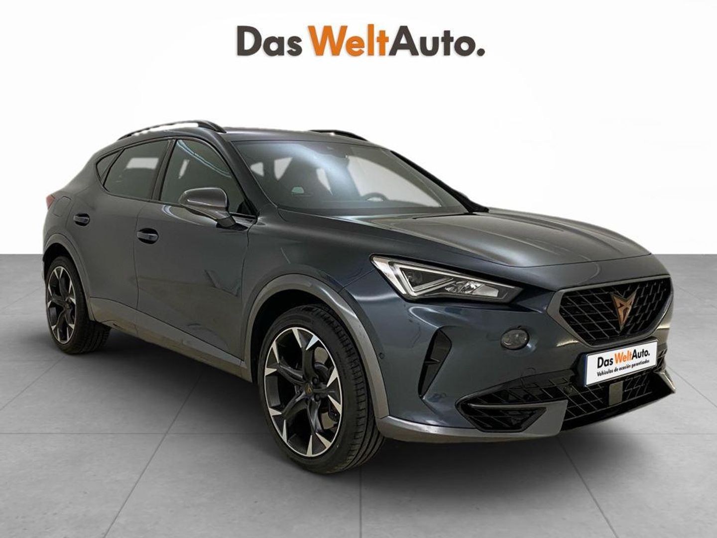 CUPRA Formentor 2.0 TSI VZ 4Drive DSG 228 kW (310 CV) Gris SUV