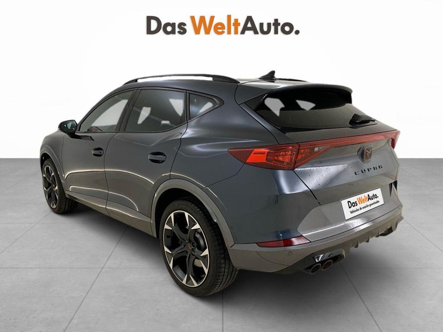 CUPRA Formentor 2.0 TSI VZ 4Drive DSG 228 kW (310 CV)