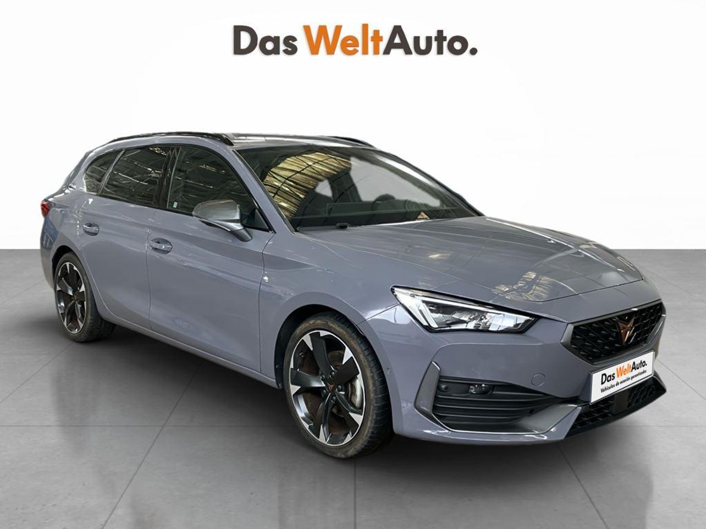 Cupra Leon Sportstourer 1.5 eTSI - Gris Familiar