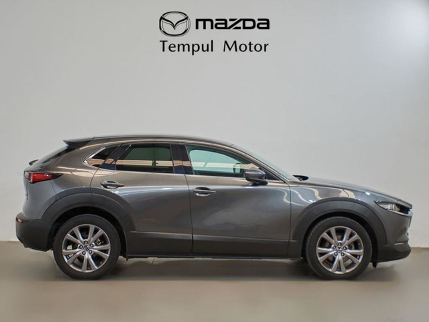 Mazda CX-30 2.0 e-Skyactiv-G Zenith 90 kW (122 CV)