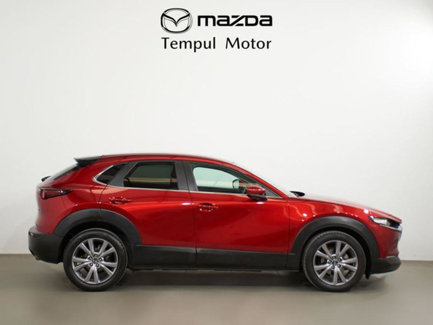 Mazda CX-30 2.0 Skyactiv-G Evolution 2WD 90 kW (122 CV)