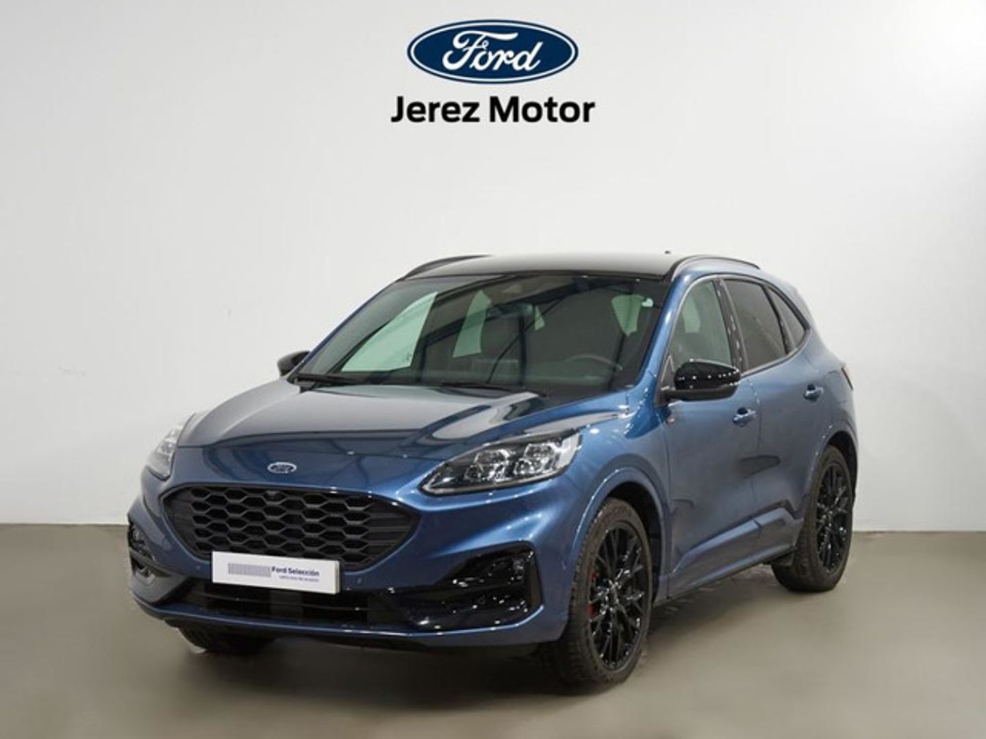 Ford Kuga 2.5 Duratec FHEV ST-Line X