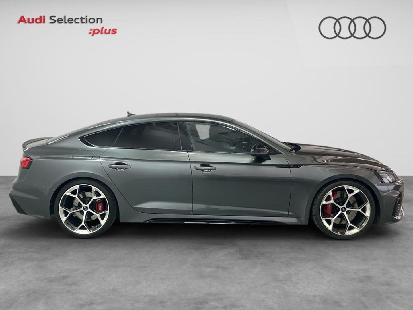 Audi RS5 Sportback Competition Plus 2.9 TFSI 331 kW (450 CV)