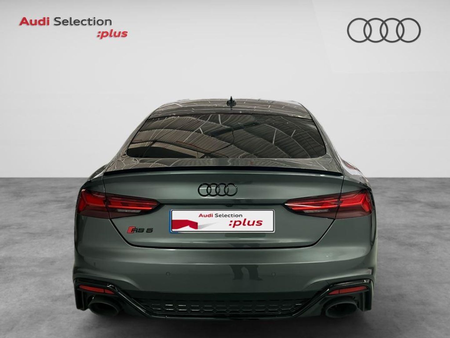 Audi RS5 Sportback Competition Plus 2.9 TFSI 331 kW (450 CV)