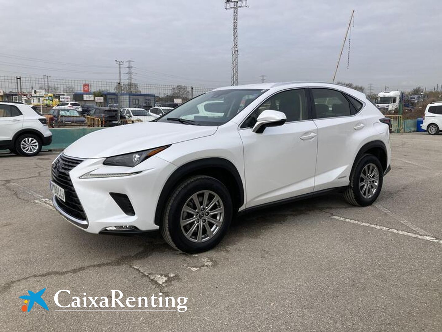 Lexus NX NX 300h Business Blanco SUV