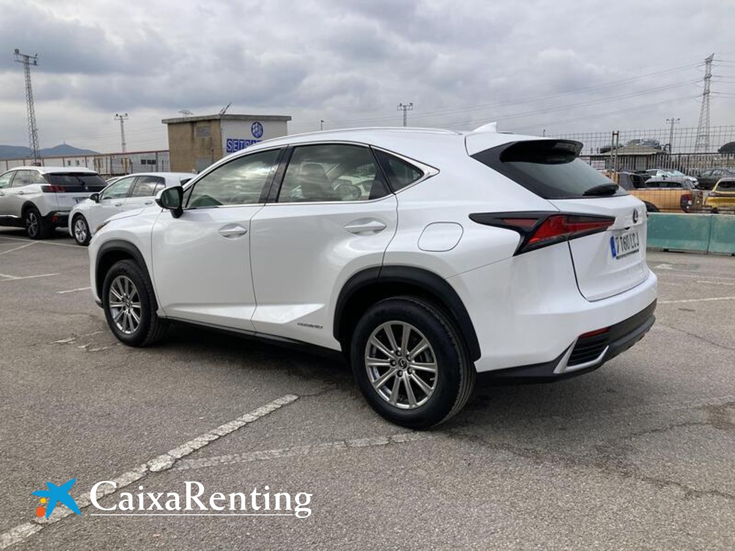 Lexus NX NX 300h Business