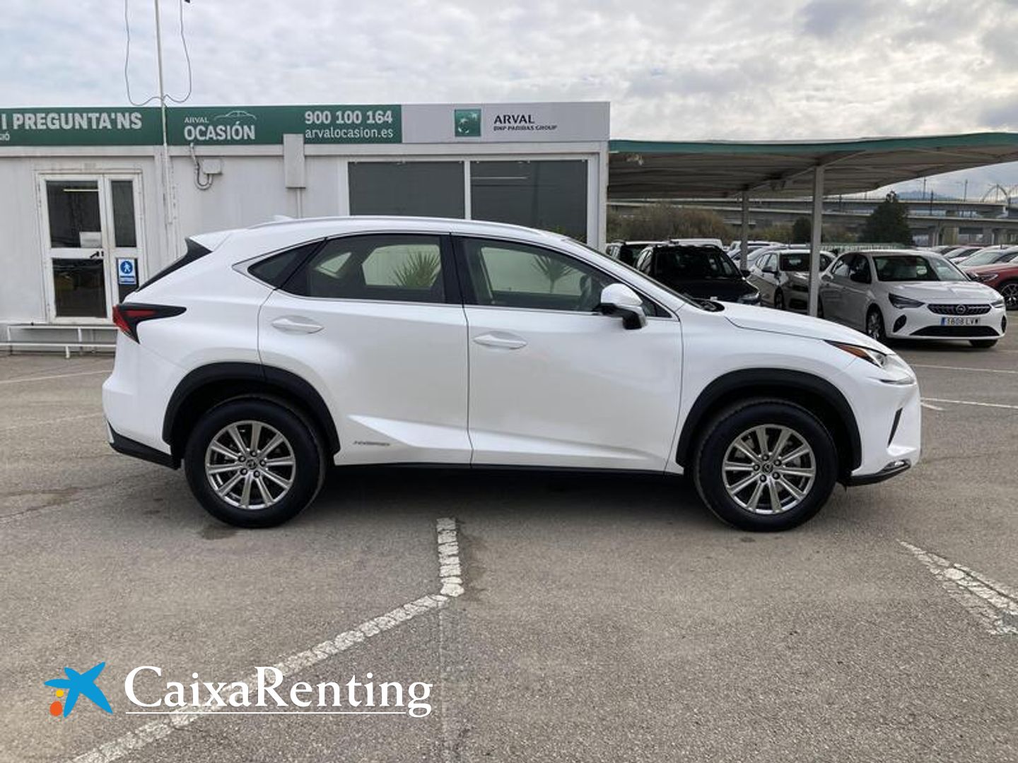 Lexus NX NX 300h Business