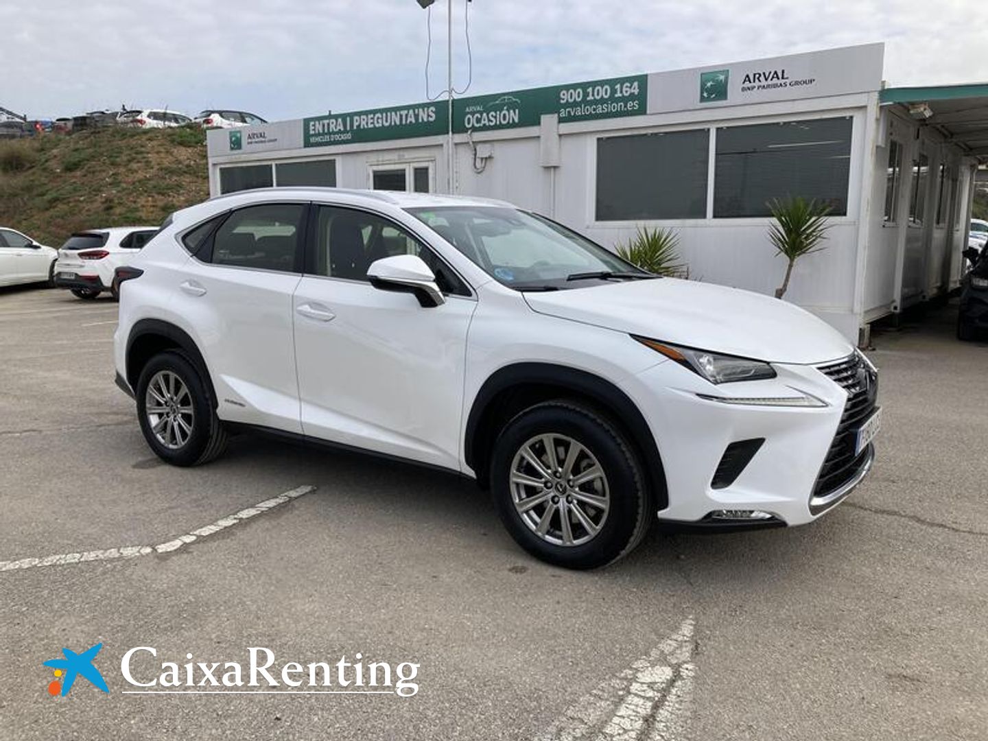 Lexus NX NX 300h Business