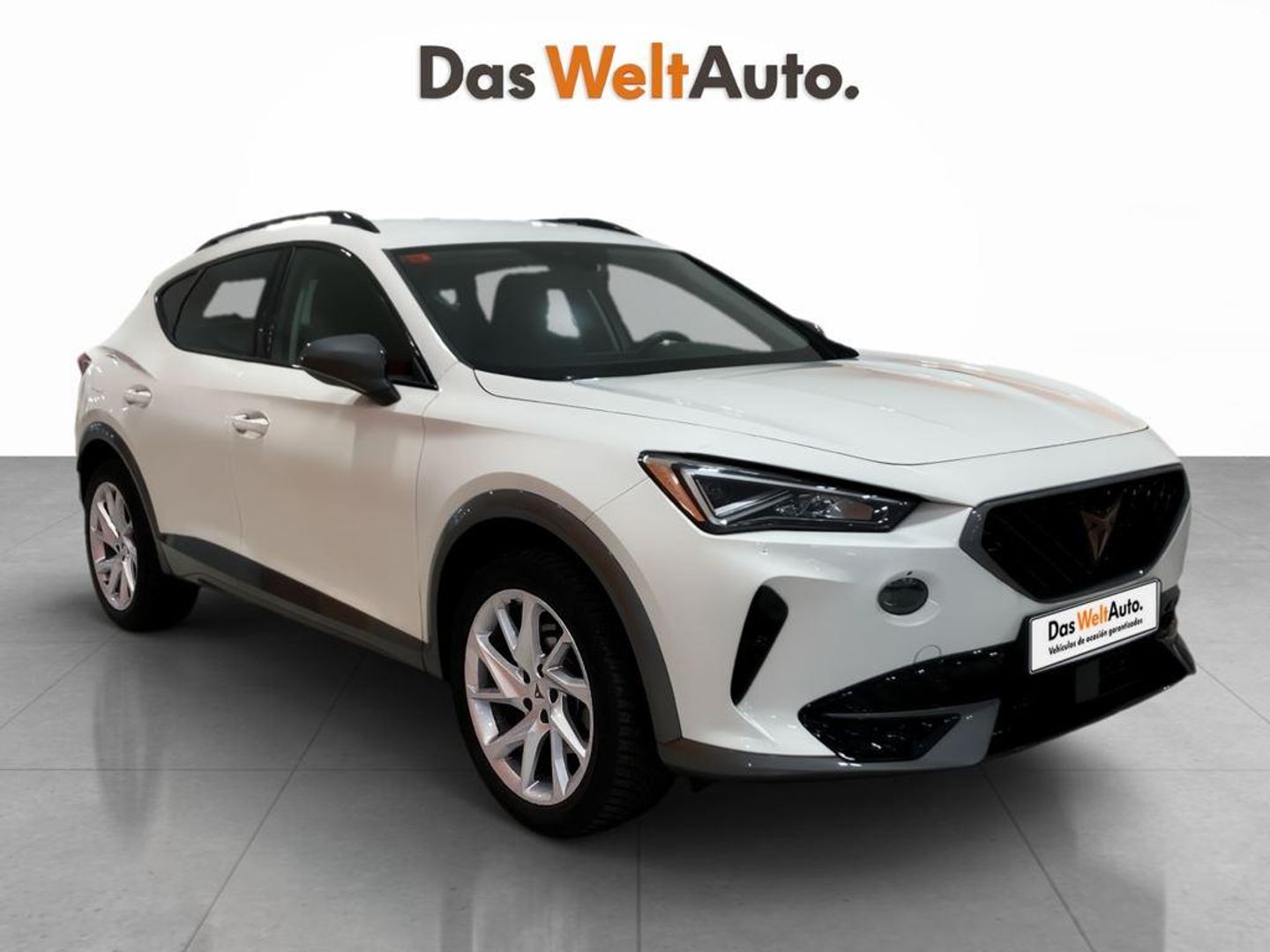 CUPRA Formentor 1.4 e-Hybrid DSG 150 kW (204 CV)