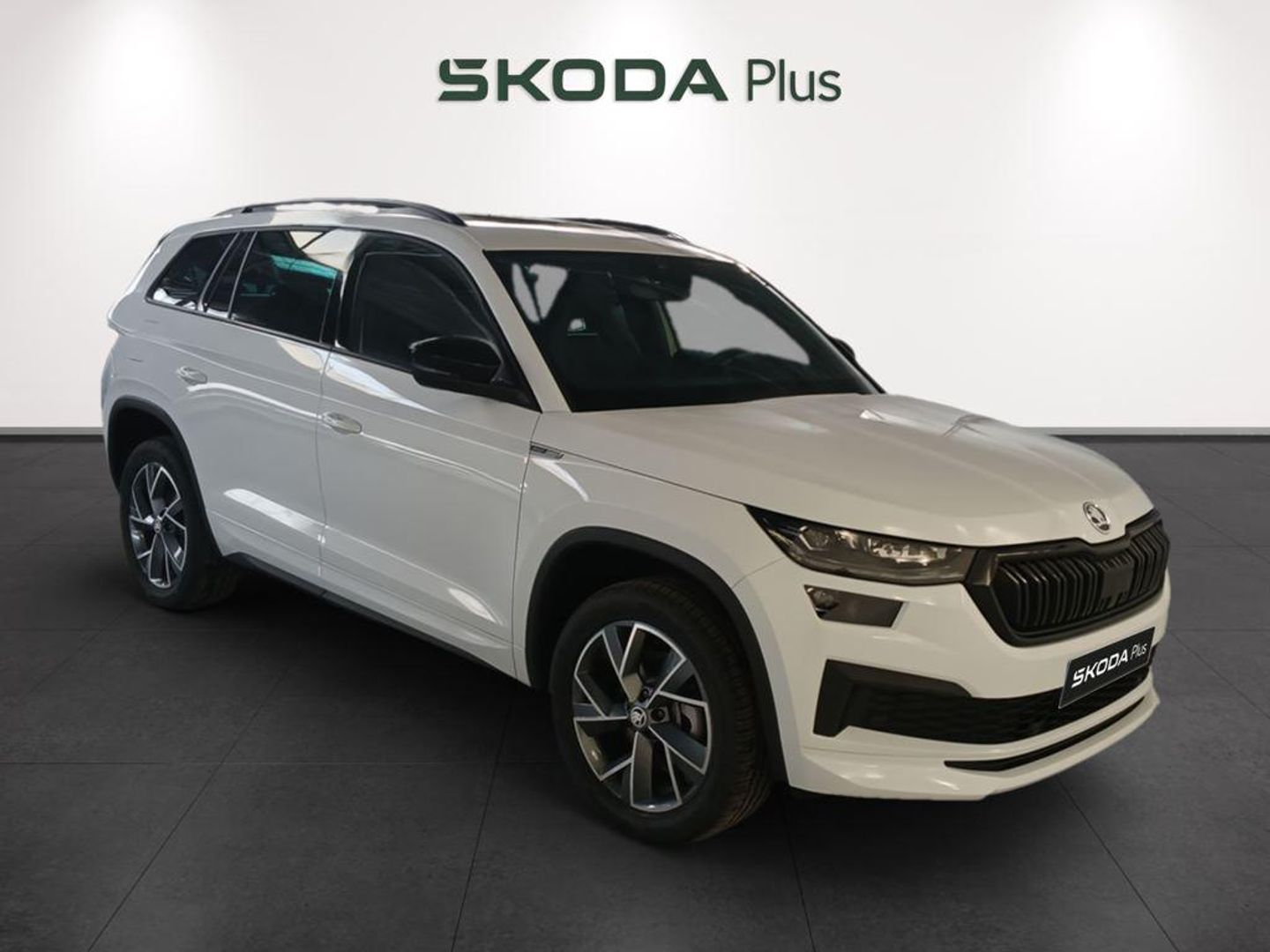 Skoda Kodiaq 1.5 TSI Sportline 4x2 DSG 110 kW (150 CV)
