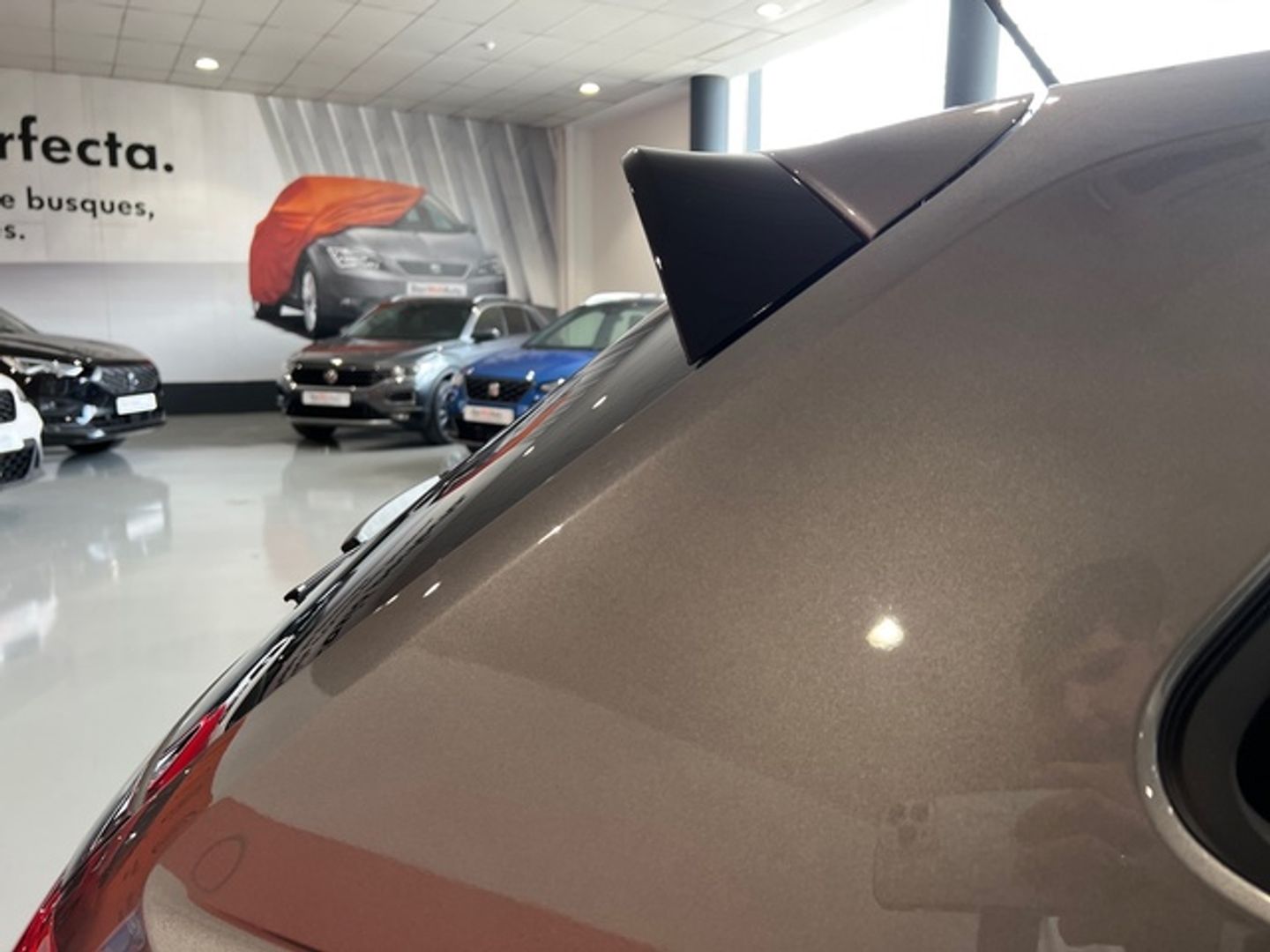 Volkswagen Polo GTI 2.0 TSI 147 kW (200 CV) DSG