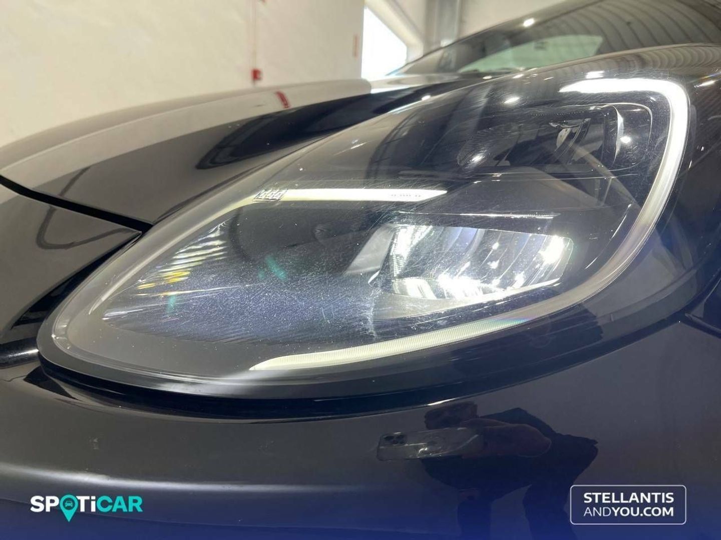 Ford Puma 1.0 EcoBoost MHEV ST-Line X Gold Auto 114 kW (155 CV)