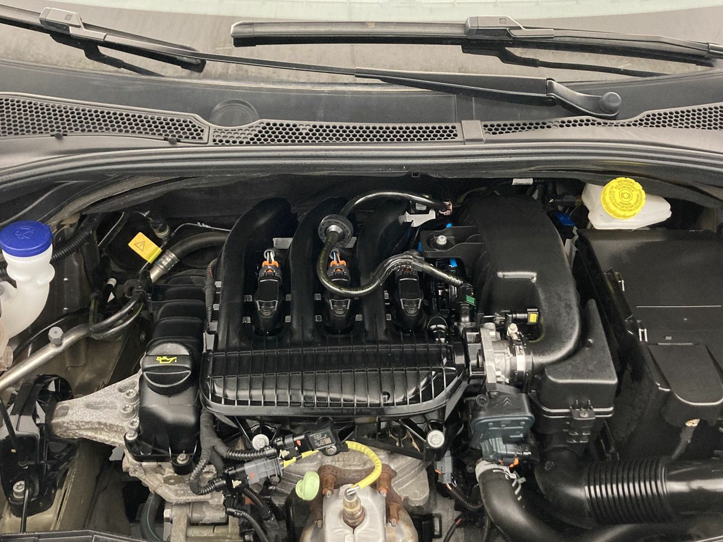 Citroen C3 PureTech 82 Shine 61 kW (83 CV)