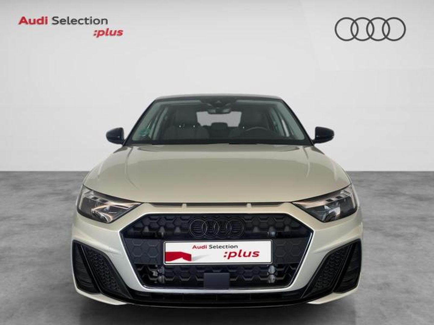 Audi A1 Sportback Adrenalin Black edition 30 TFSI 85 kW (116 CV)