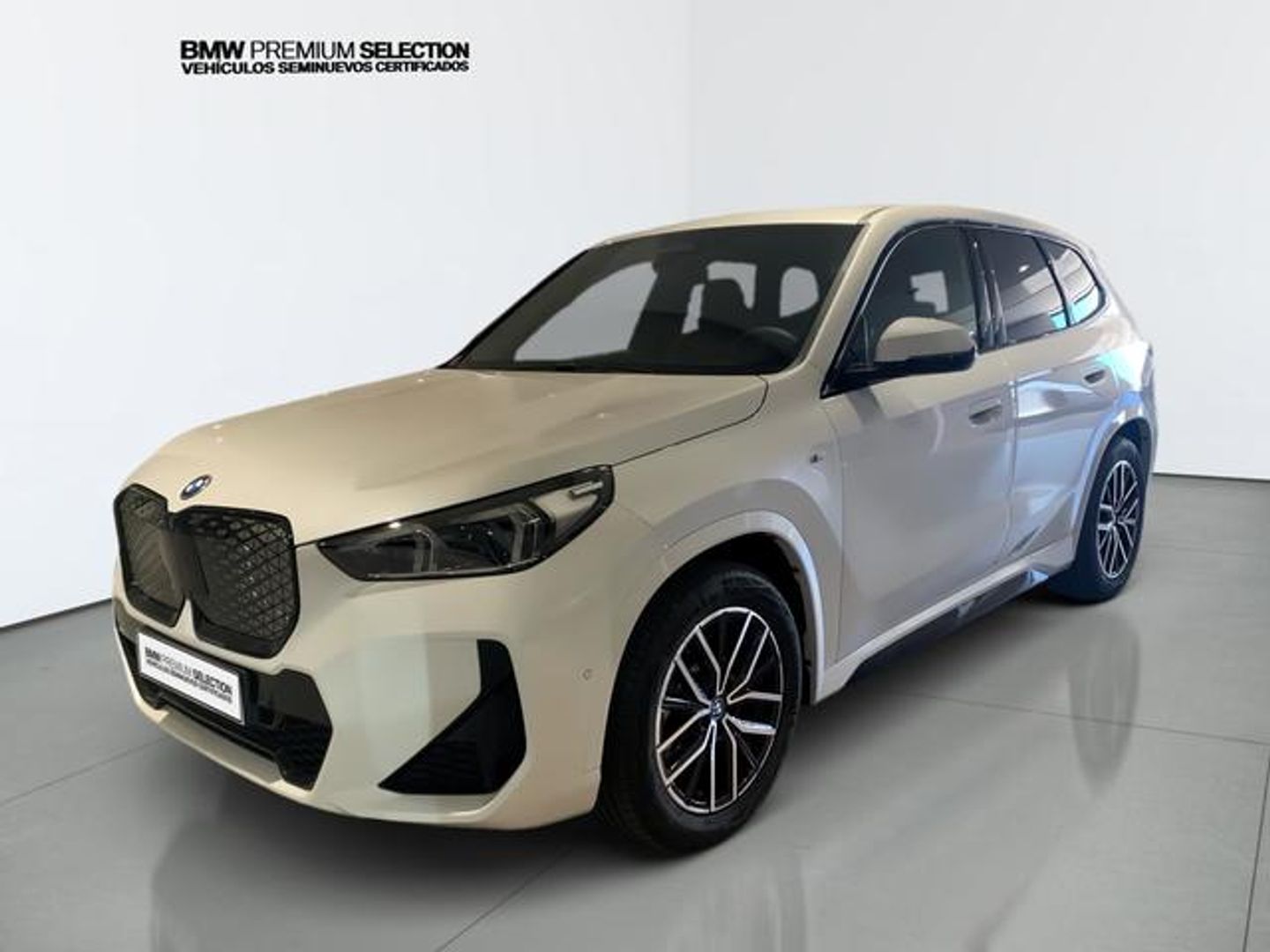 BMW iX1 xDrive30 230 kW (313 CV)