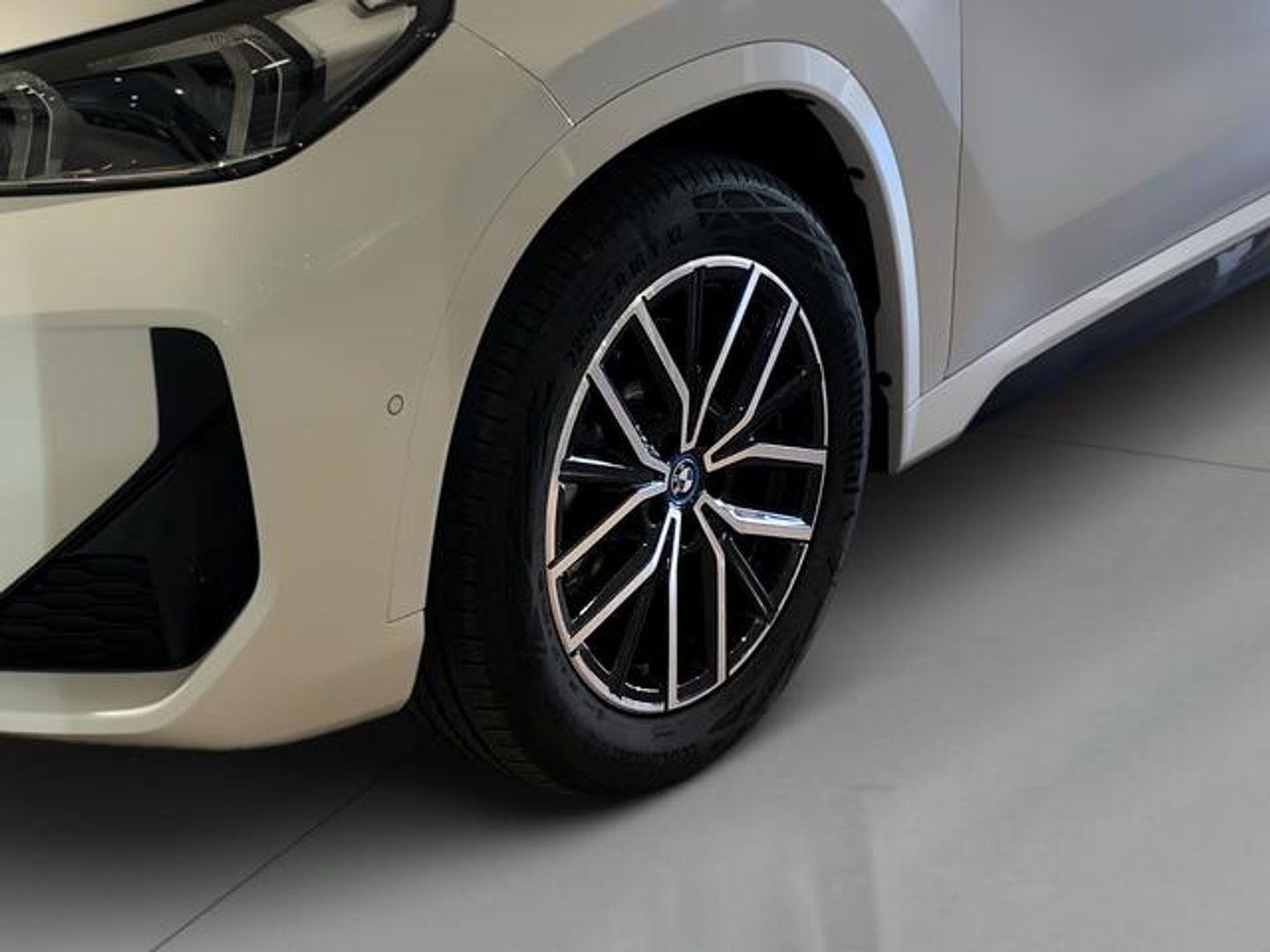 BMW iX1 xDrive30 230 kW (313 CV)