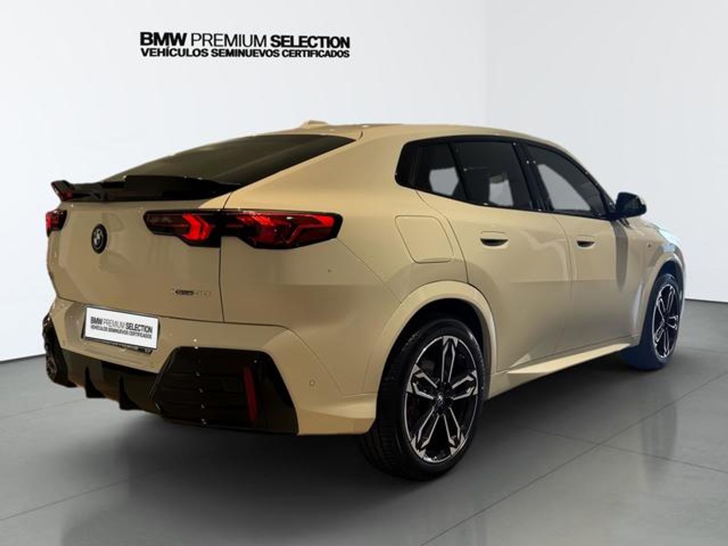 BMW iX2 xDrive30 230 kW (313 CV)