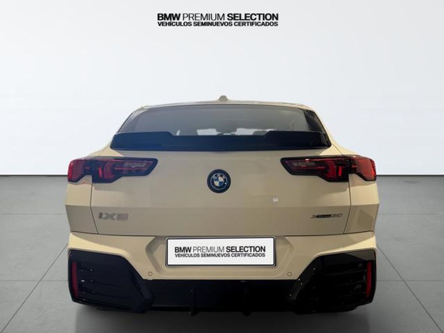 BMW iX2 xDrive30 230 kW (313 CV)