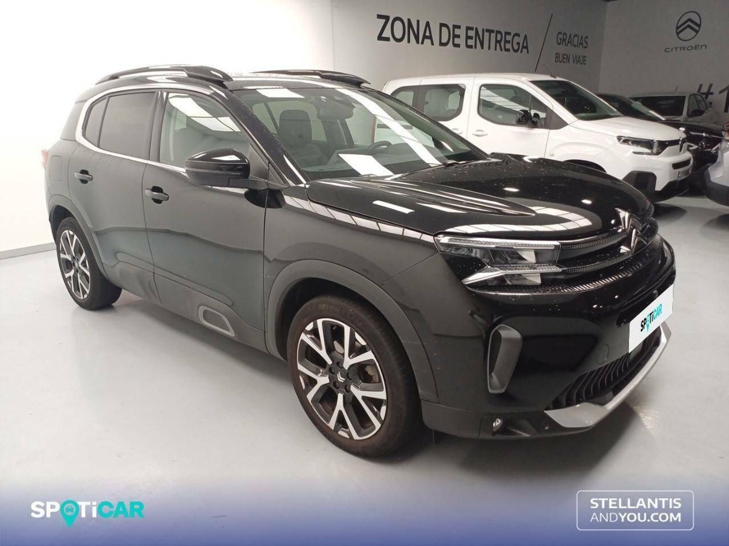 Citroen C5 Aircross PureTech 130 S&S Shine Pack EAT8 96 kW (131 CV)