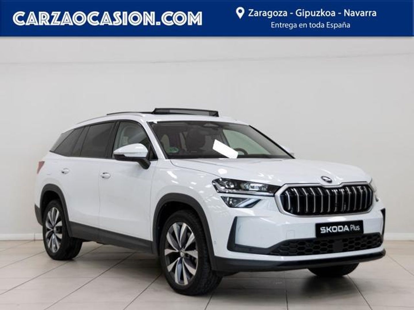 Skoda Kodiaq 2.0 TDI Selection 4x4 DSG 142 kW (193 CV)